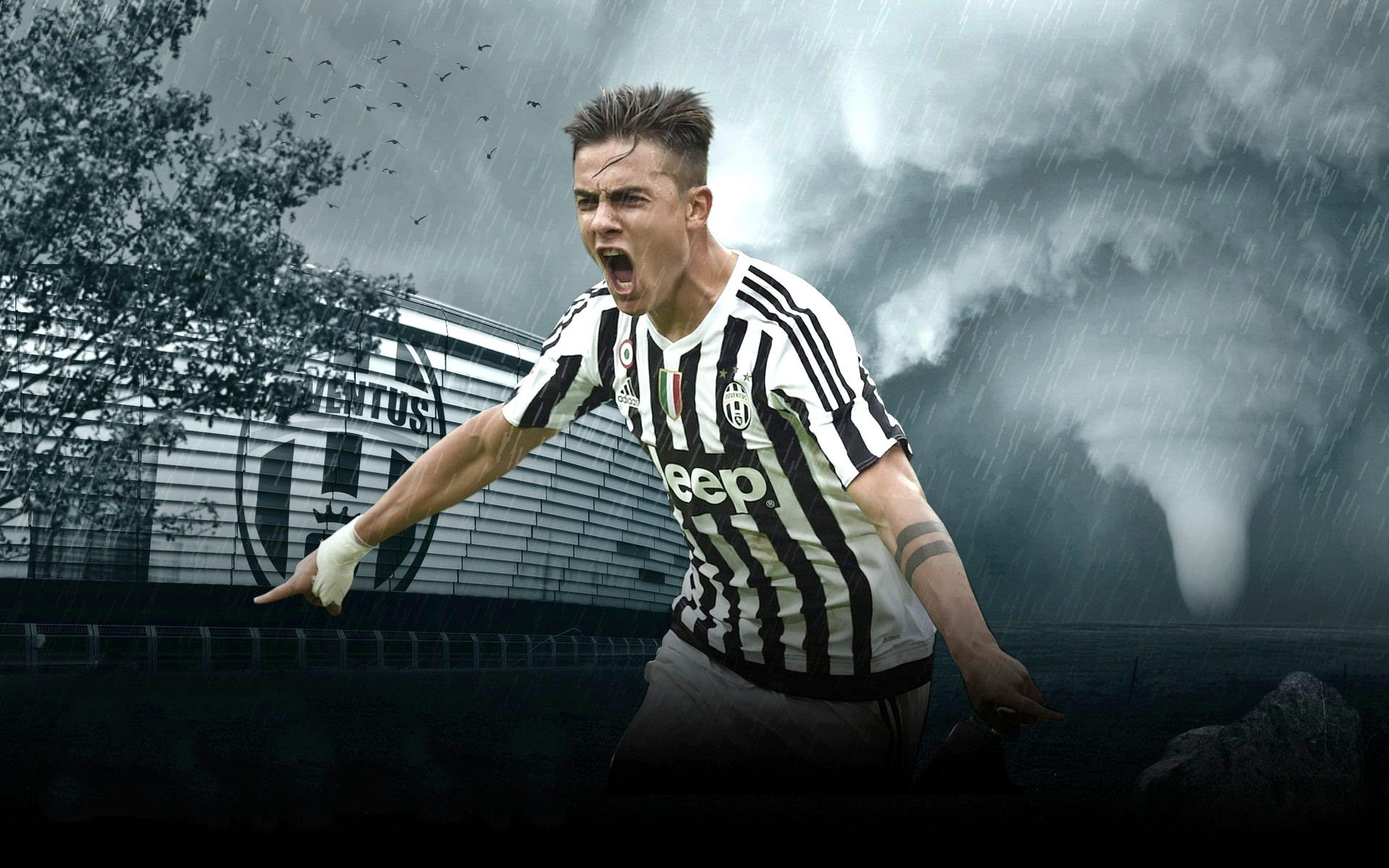 法比奥：带着必胜信念来到这里，河南很难踢但我们很出色