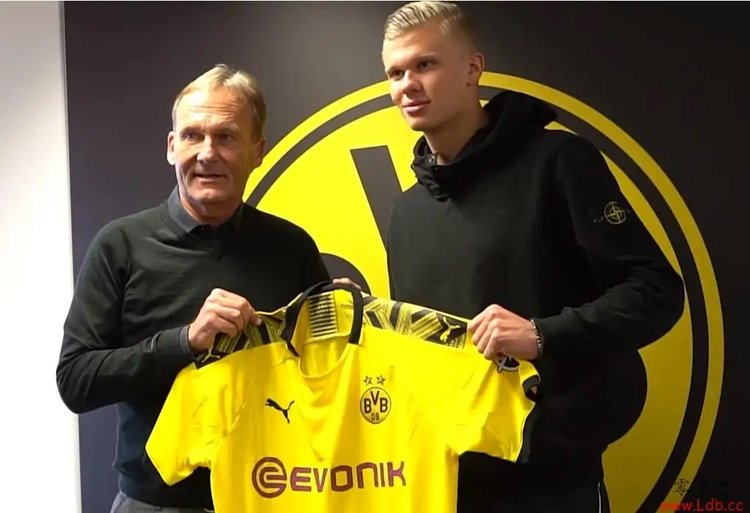 狮吼工作人员：奥谢已经成功入籍澳大利亚，可以出战世界杯（狮吼官员透露：奥谢已完成澳洲入籍，获准征战世界杯）